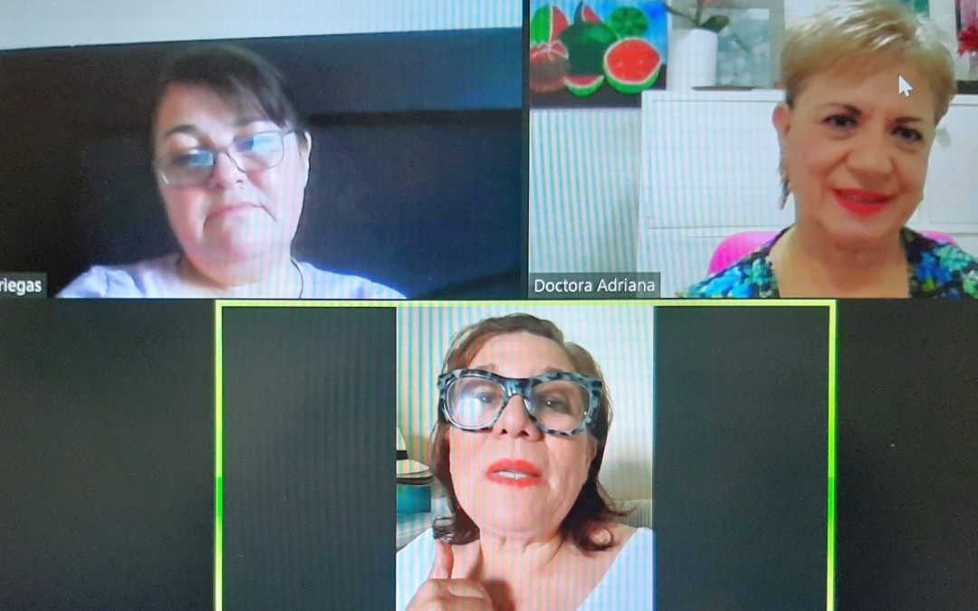 Reunión virtual de trabajo