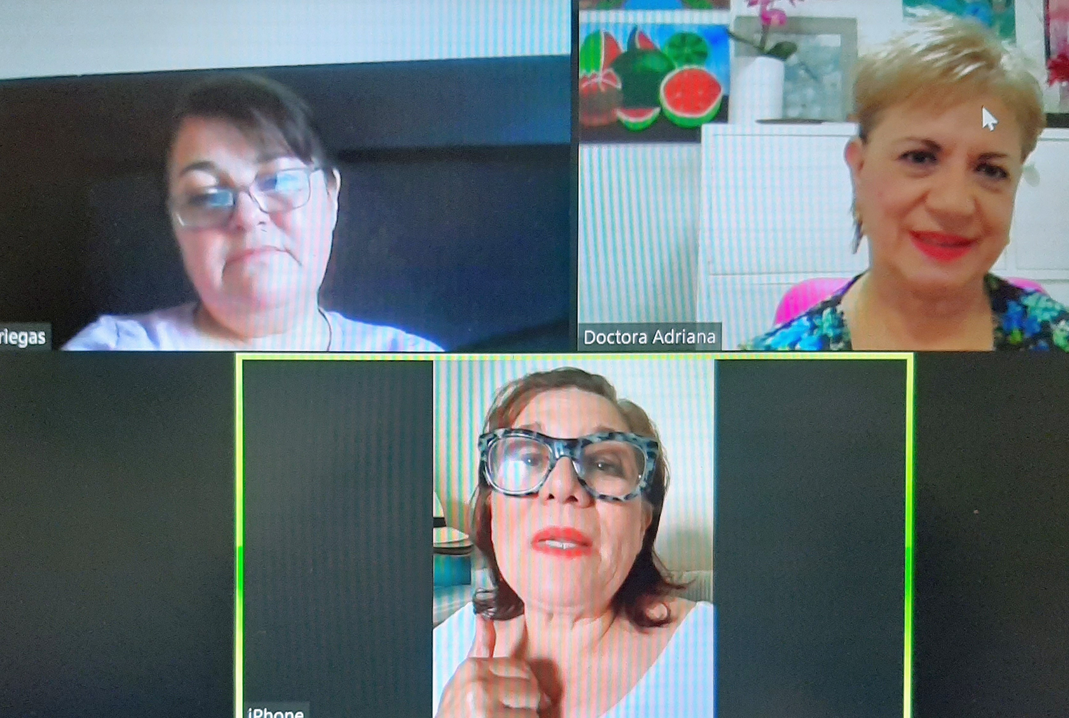 Reunión virtual de trabajo