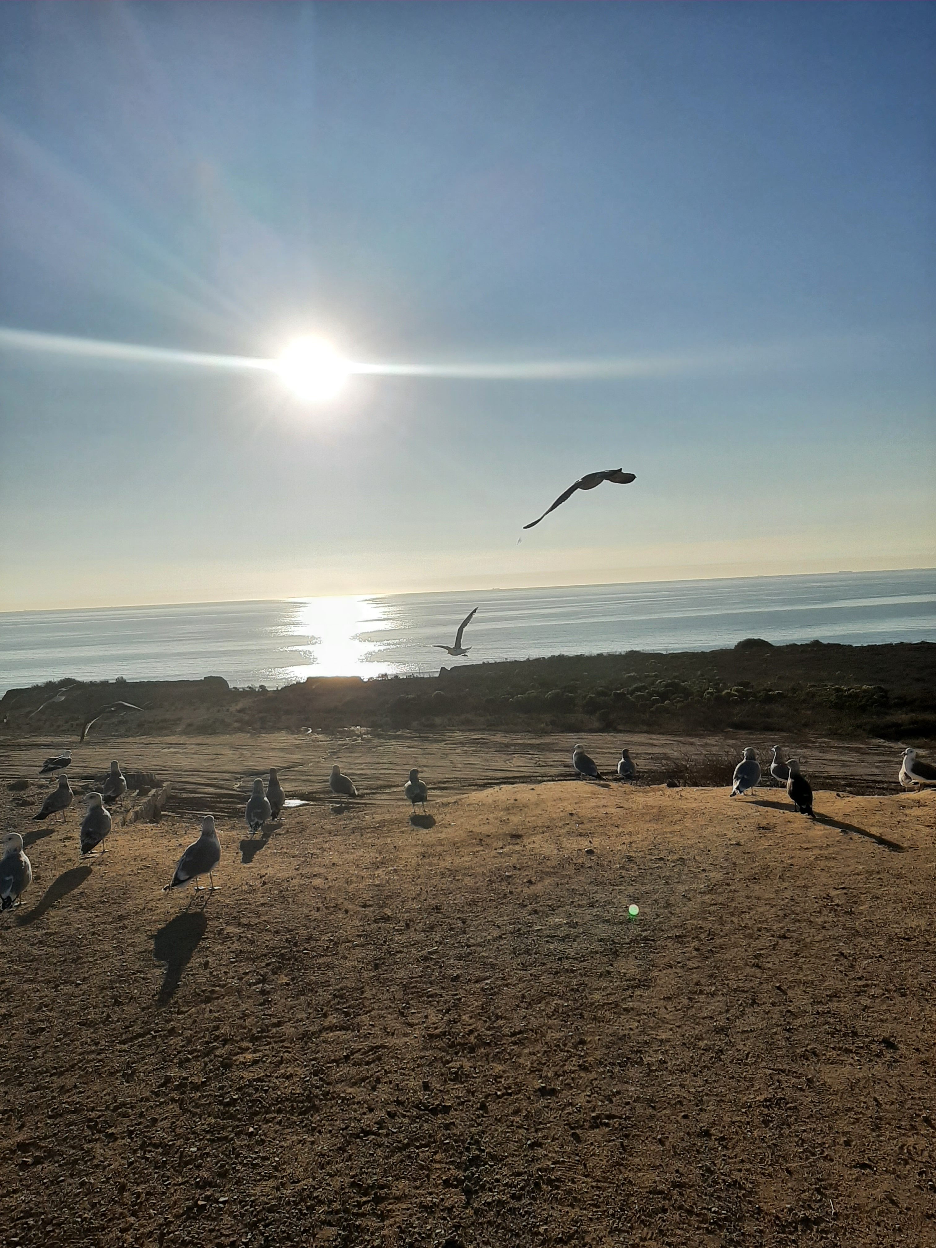 Doctora Adriana Mendioléa compartiendo escenas en el océano Pacífico