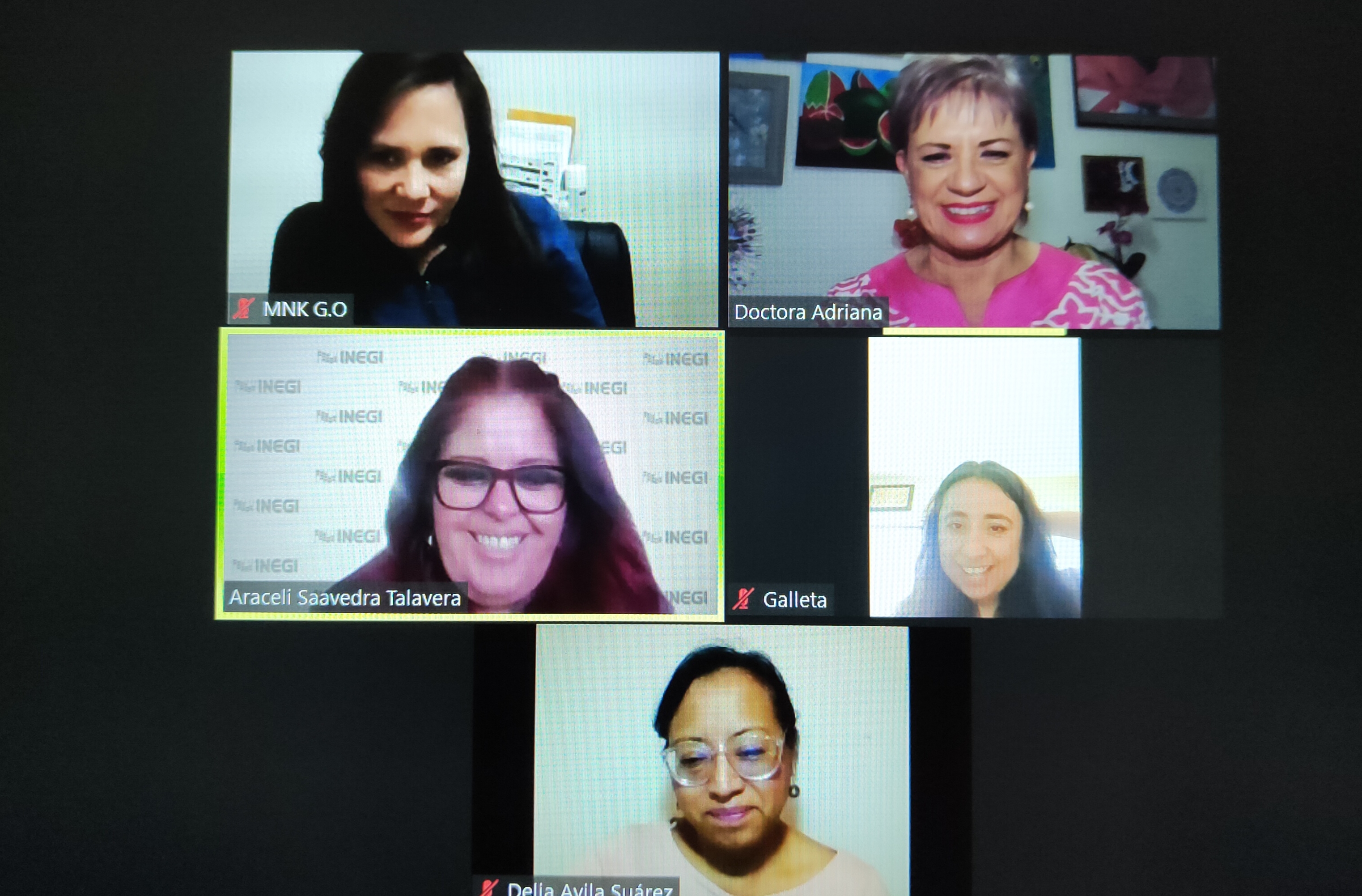 La Doctora Adriana Mendioléa en la capacitación virtual de los Sistemas en INEGI con la Mtra. Araceli Saavedra